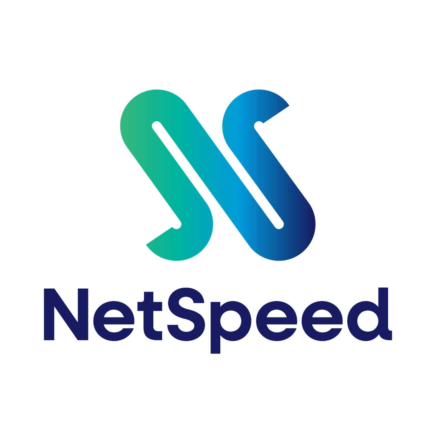 2024-02-08_65c4f90ed9642_NetWSpeedFavicon